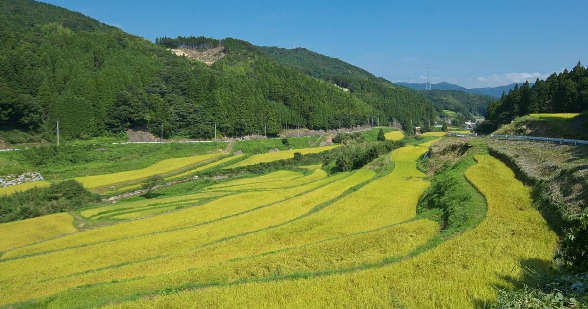 唐津市の農業のイメージ(ハウスみかん・いちご・棚田などの農産物と田園風景)