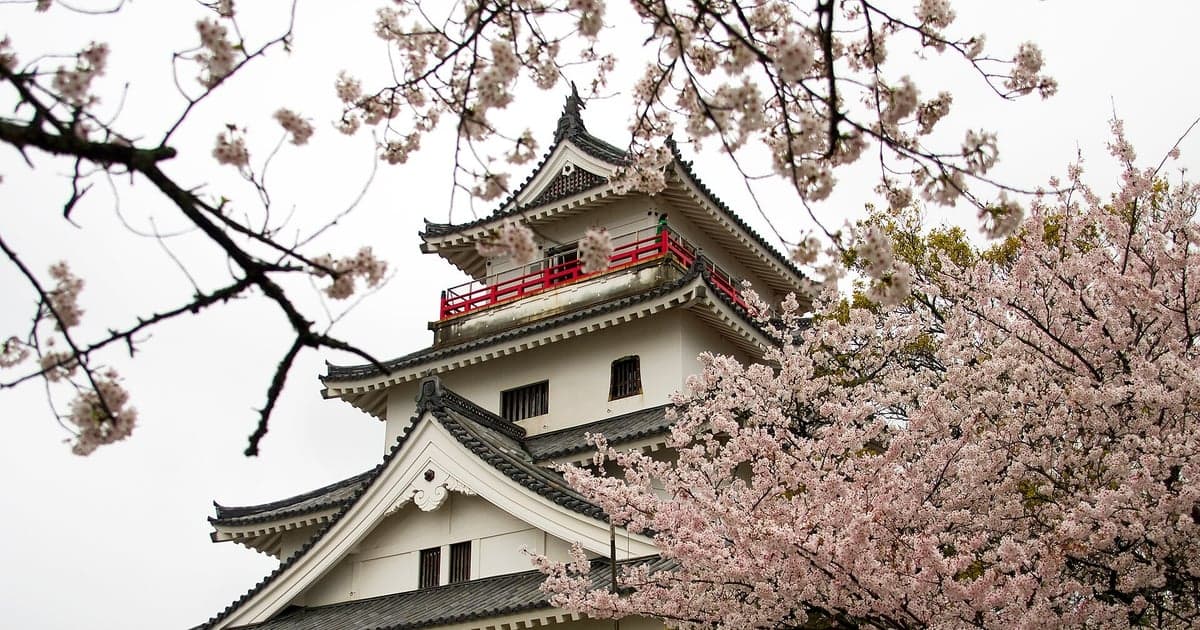 佐賀県唐津市の唐津城(舞鶴公園)に咲く桜