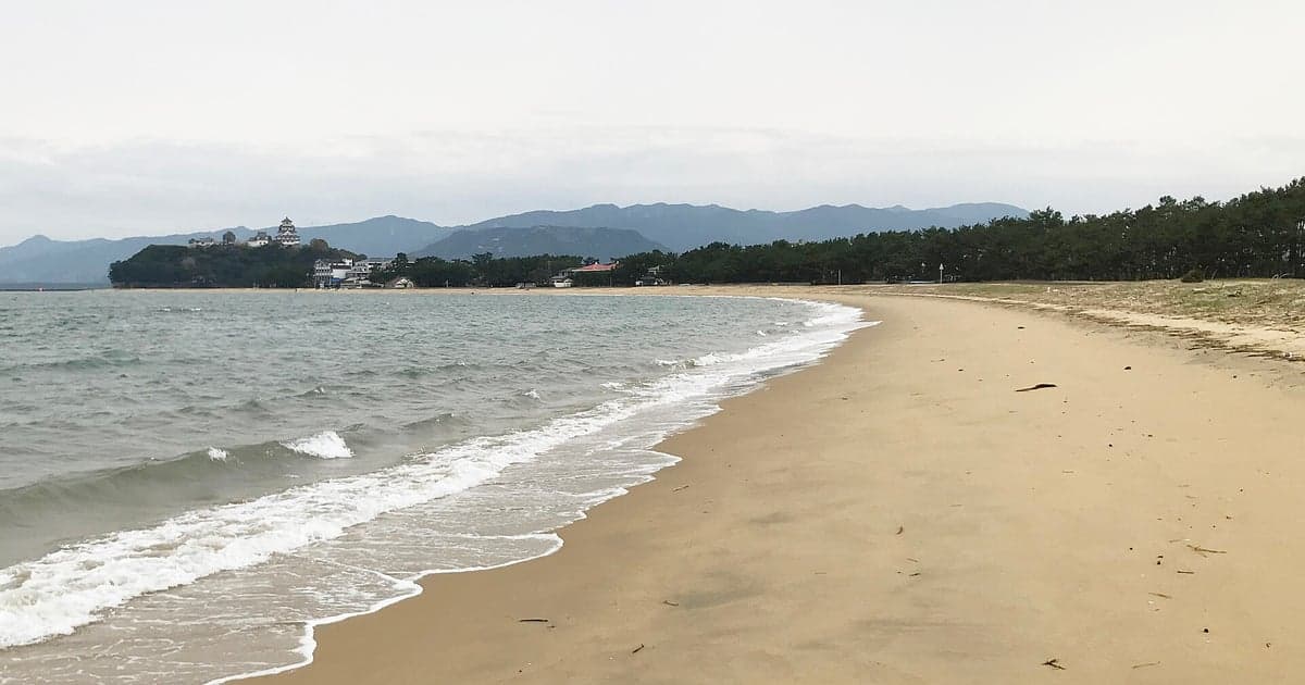 唐津の海水浴場で夏の海を楽しむ様子