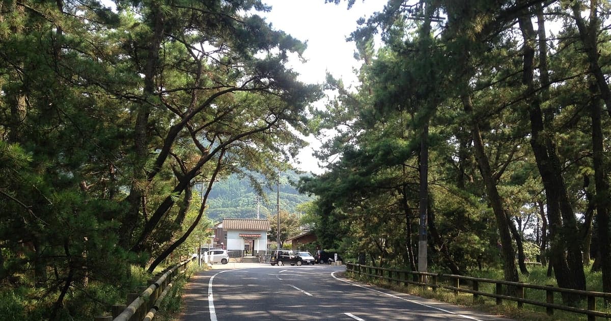唐津湾沿いに続く虹の松原の松林と海岸