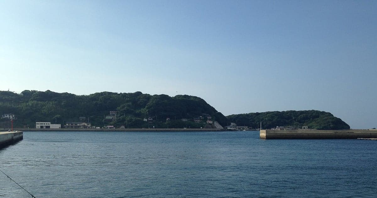 加部島の北端、玄界灘に面した杉ノ原放牧場の草原と放牧された牛