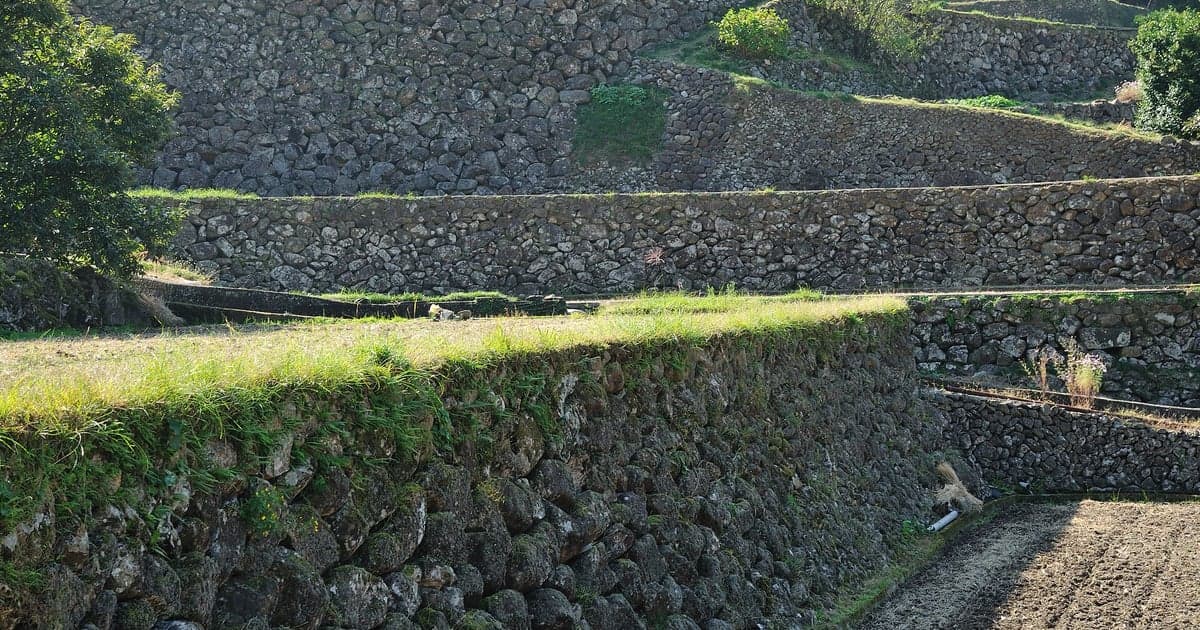 佐賀県唐津市相知町、八幡岳の斜面に石積みの畦が重なる蕨野の棚田